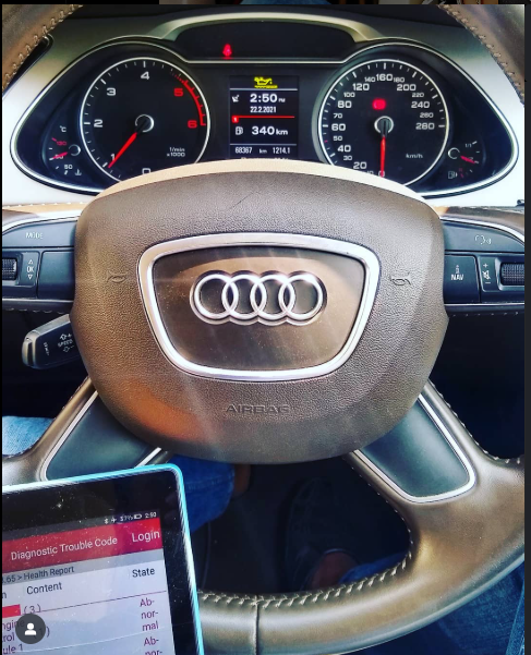 Audi Diagnostic Work